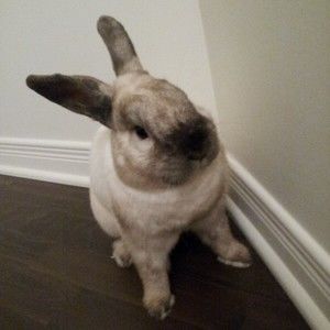 Meet your Posher, Yulia